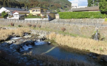 furuyu view