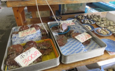 choosing seafood