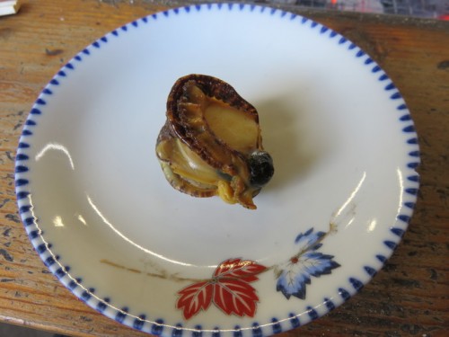cooked hiougigai