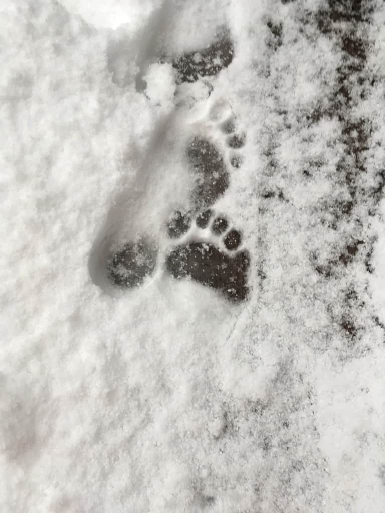 My footprint