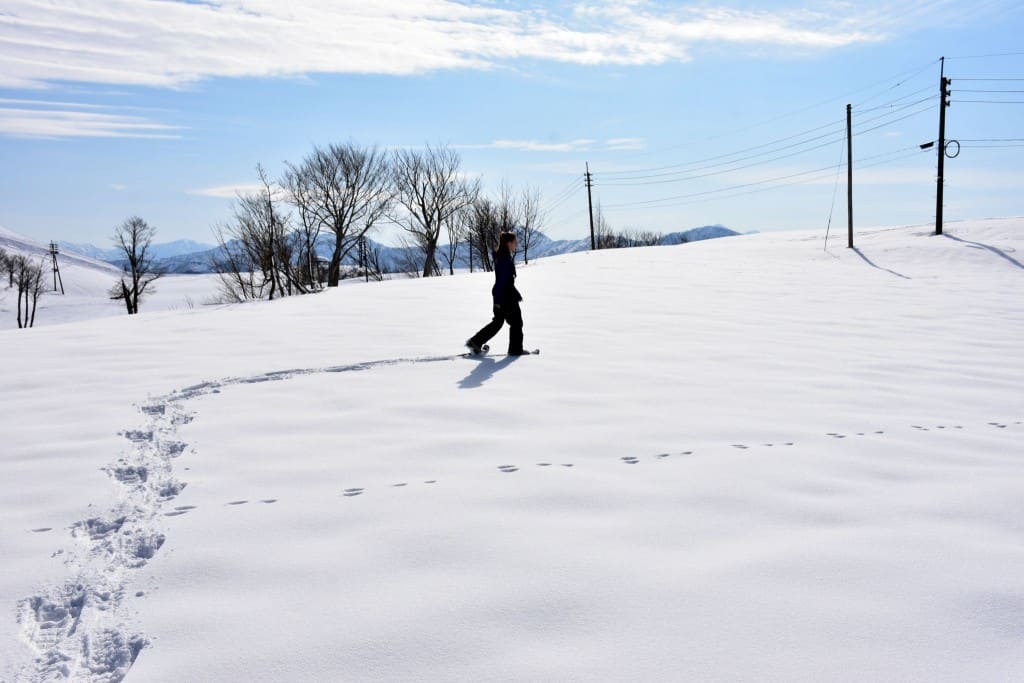 snowshoe-trekking