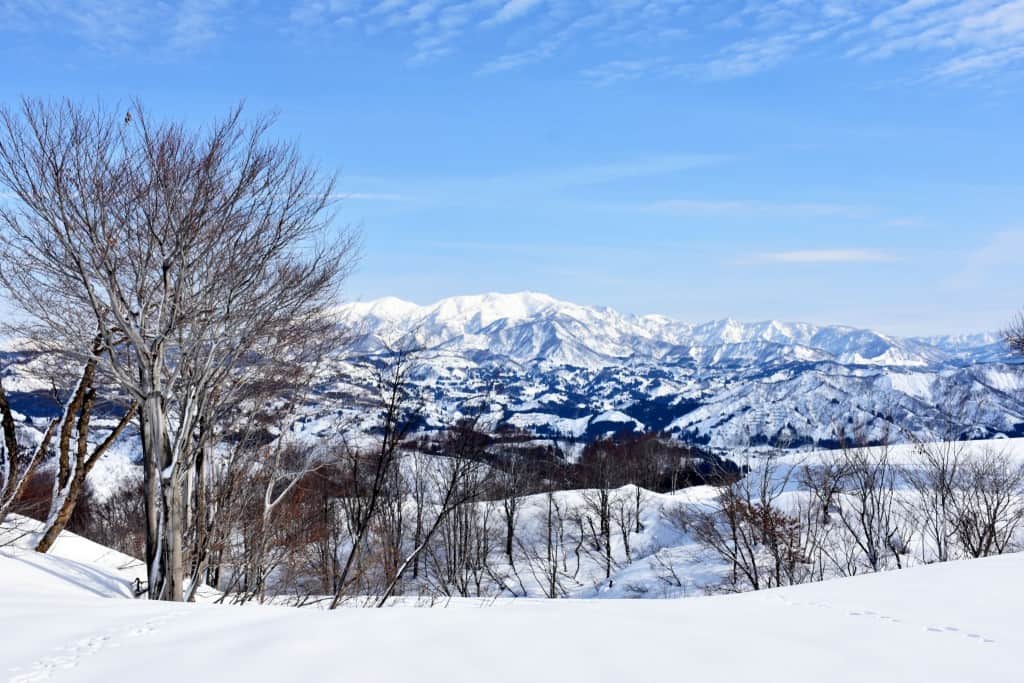 Untouched winter landscape without any people around