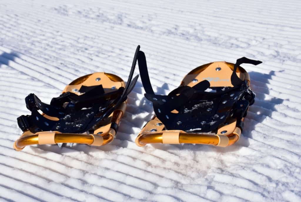 snowshoes