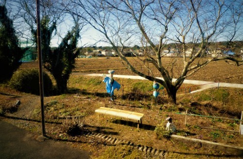 Scarecrow in Shizuoka
