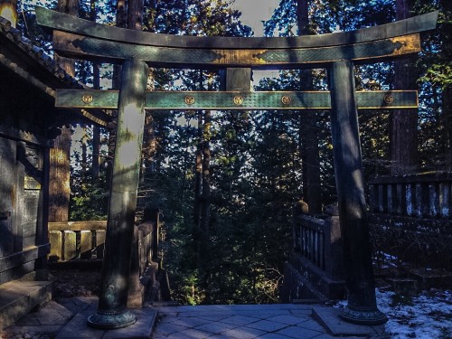 The gorgeous Okumiya torii at the top of many steps