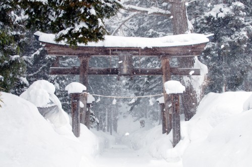 Kosuge Shrine Winter