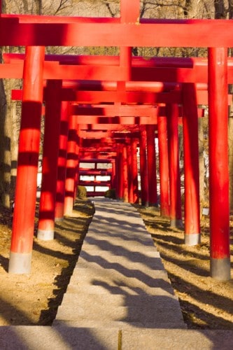 The torii gate leads to the private shrine in Yahata-ya