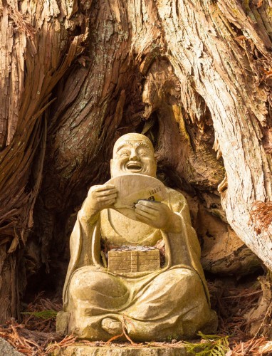 An important Rakan rested at the foot of a large cedar tree