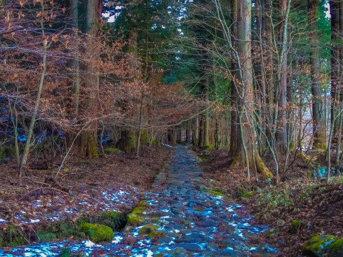 Nature trail to the hidden Shiraito Falls.