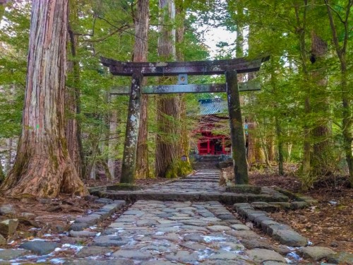 Hidden nature gems in Nikko, Japan