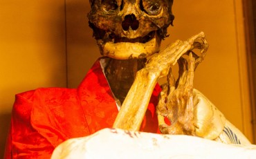 Sokushinbutus refers to the practice of self-mummification that was followed by a mountainous dwelling sect of Buddhist monks who were called Shugen-do.