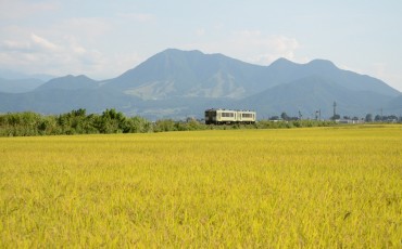 Local Iiyama train