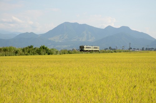 Local Iiyama train