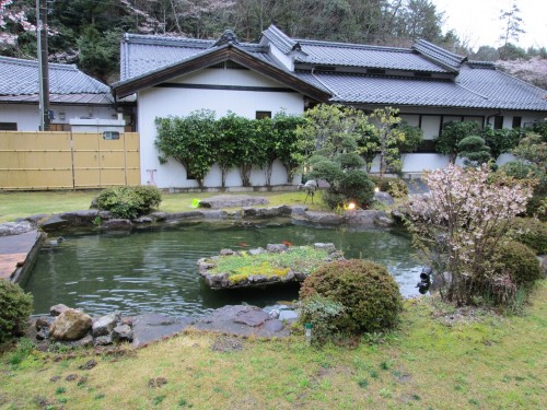 Japanese gardens with koi fish