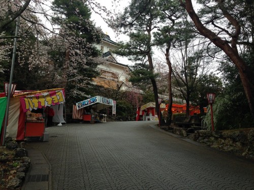 The cherry blossom festival at the castle park in Mino city, Gifu prefecture