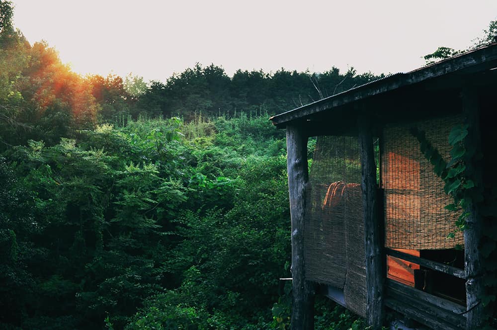 Free room and board in exchange for light housework in Japanese farms.