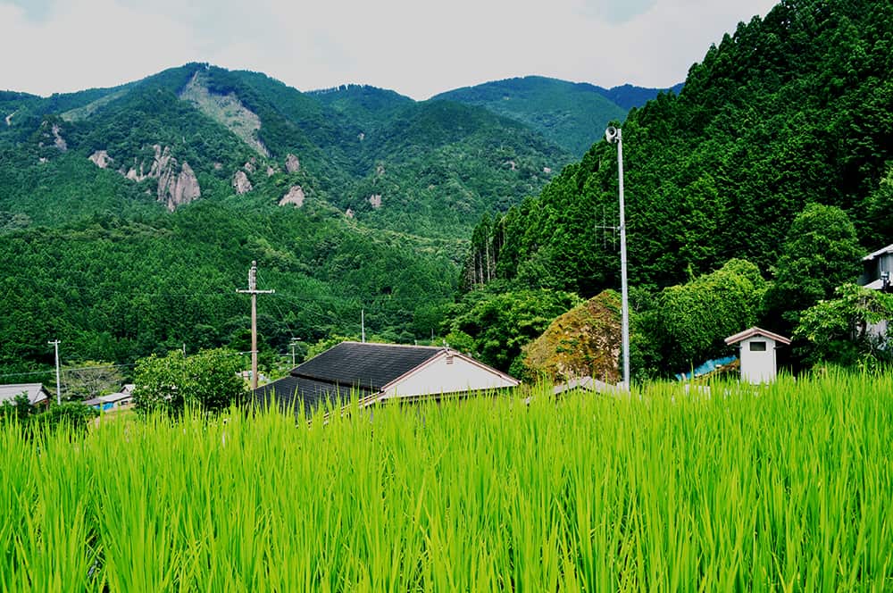 Free housing in Japanese farms and homes.