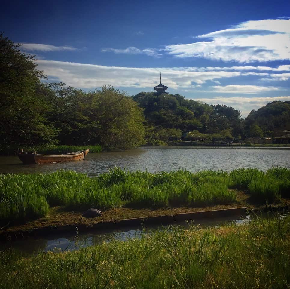 Beautiful Views at Sankeien Gardens