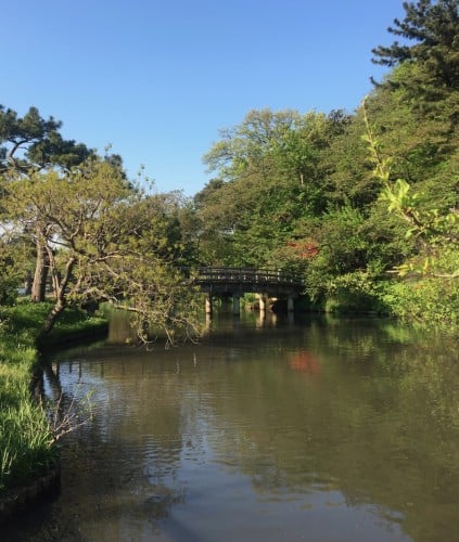 The bridge over the pond at Sankeien Japanese Garden
