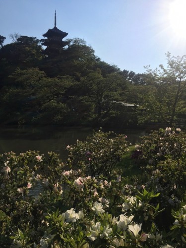 Sankeien Garden Pagoda View, Sankeien Garden in Yokohama, is the perfect place to start.