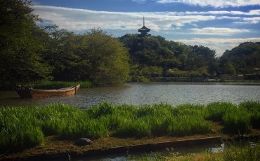 Beautiful Views at Sankeien Gardens
