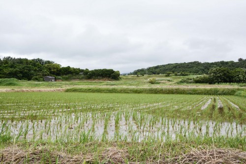 A view from Minshuku Takimoto on Sado island, Niigata, Japan