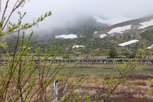 Jododaira marshland near Mount Azuma, Fukushima, Japan.