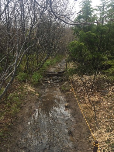 The trekking route to Mount Horai near Mount Azuma, Fukushima, Japan.