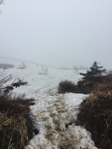 The trekking route to Mount Horai near Mount Azuma, Fukushima, Japan.