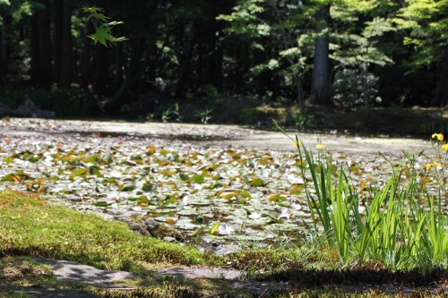 A View of the Pond at Jorakuen, Fukushima, Japan.