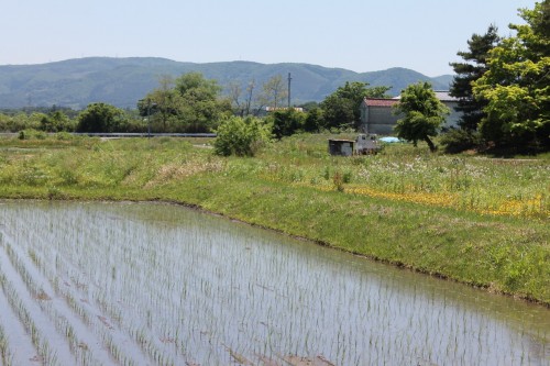 The View Outside the Entrance of Jorakuen Japanese garden, Fukushima, Japan.