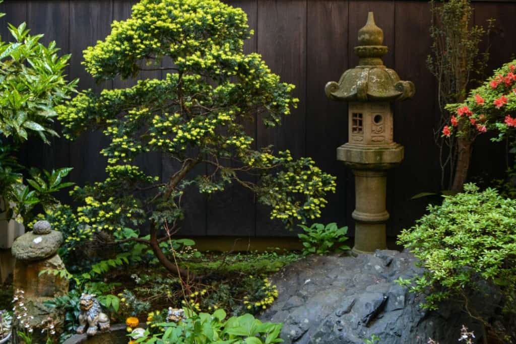 Fujimien Tea Shop Garden