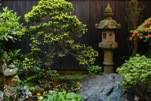 Fujimien Tea Shop Garden