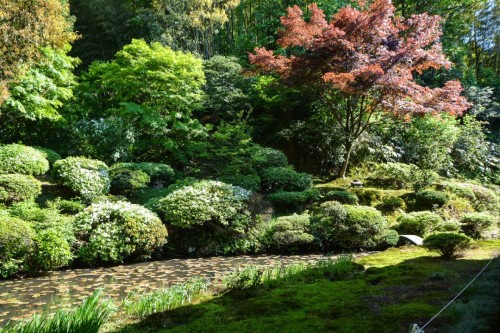 Ryukouin Temple Pond