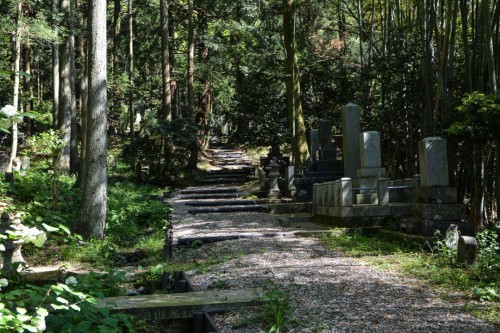 Kotokuji Temple Pathway