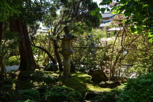 Garden at Mr. Kishi's Residence in Murakami