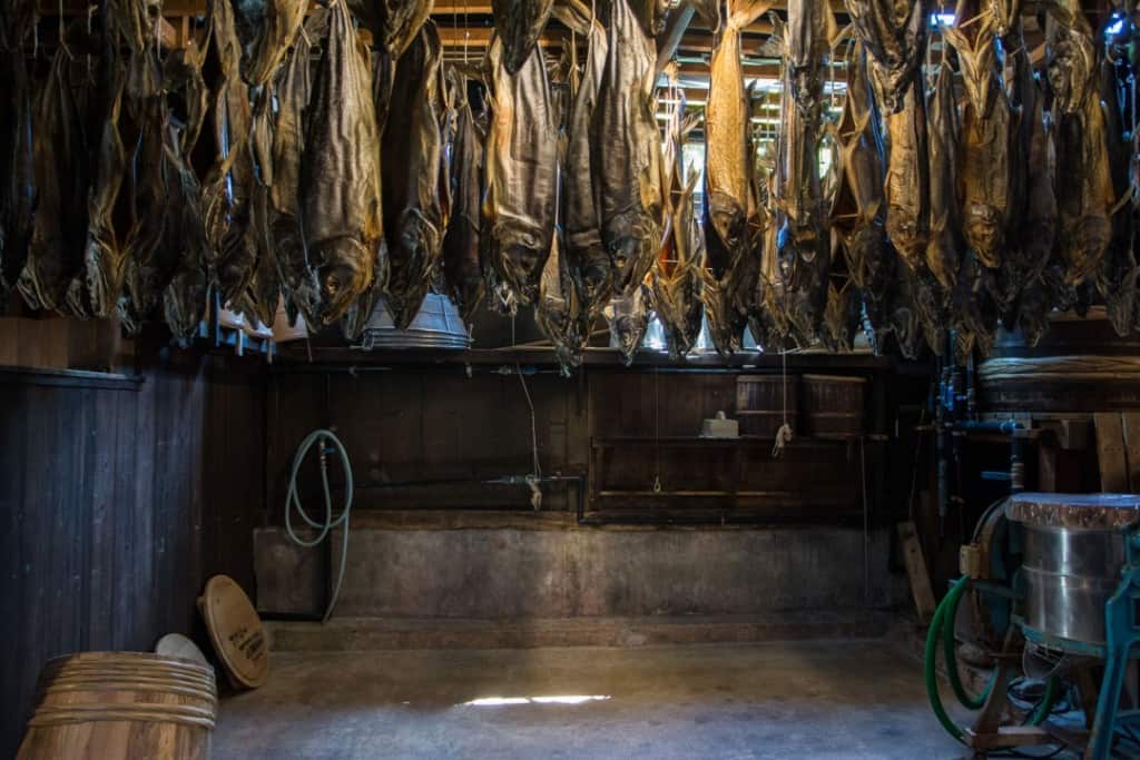 Drying Salmon in Murakami