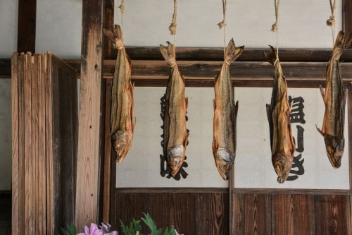 Drying Salmon in Kikkawa Salmon Shop