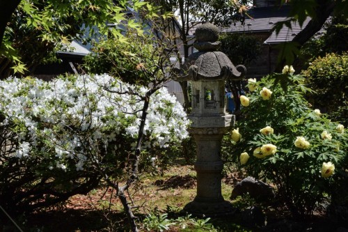 Kokonoen Tea Shop Garden