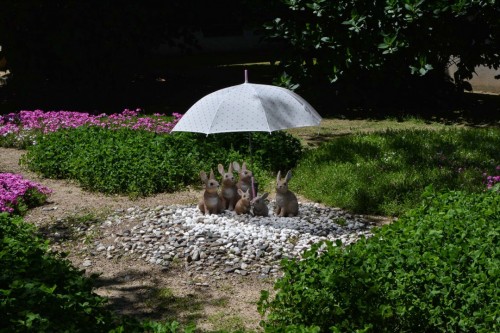 Garden Features in Murakami