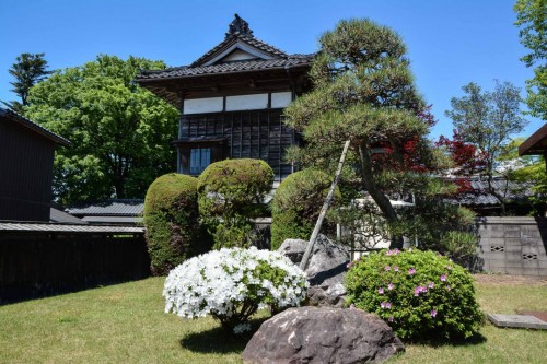 Azaeleas and Traditional Gardens in Murakami