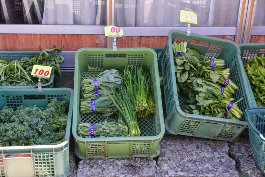 Garden Vegetables at Murakami's Market