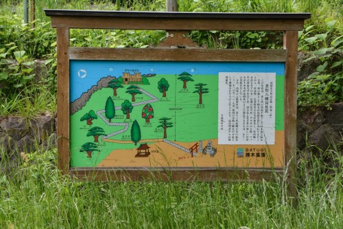 The access map for Hakogata Hachimangu Shrine