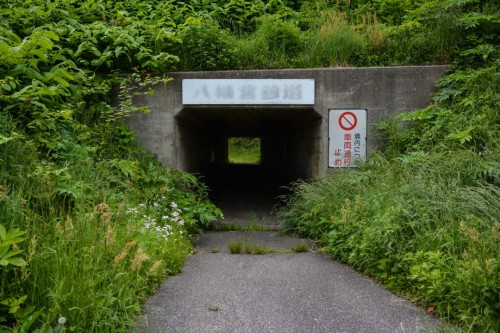 Access to the Hakogata Hachimangu Shrine