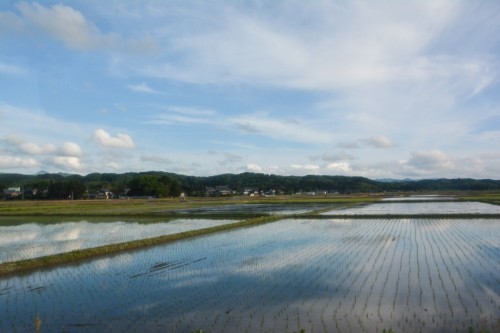 Bus Scenery - Rice Paddies and Mountains