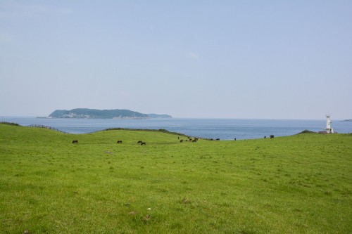 the Suginohara Farm faces the Genkai sea in Karatsu city.