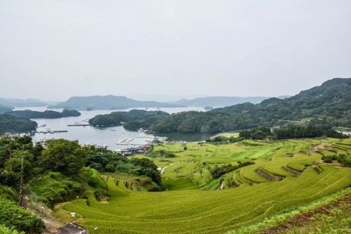 Rice fields, Oura no Tanada, Saga prefecture, Kyushu.