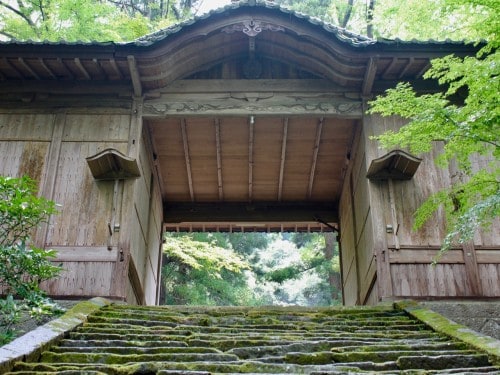 Mossy Steps Leading to Ninomiya Hachiman Shrine in Oita prefecture, Kyushu, Japan.