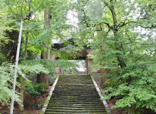 The stairs to the Ninomiya Hachimangu shrine in Oita prefecture, Kyushu, Japan.