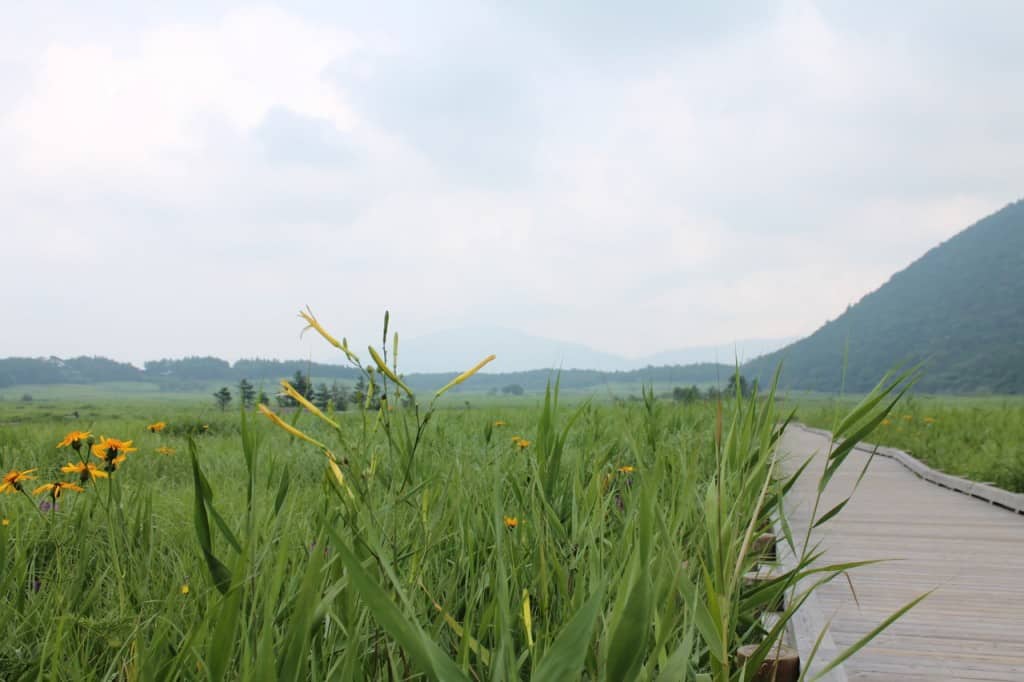 Tadehara marshland at Aso Kuju national park in Rita prefecture, Kyushu, Japan.